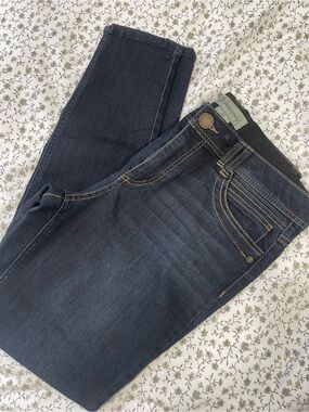 Democracy Women's Skinny Jeans - Dark Blue - Size 10